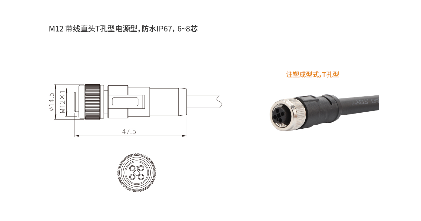 M12T型口电源型